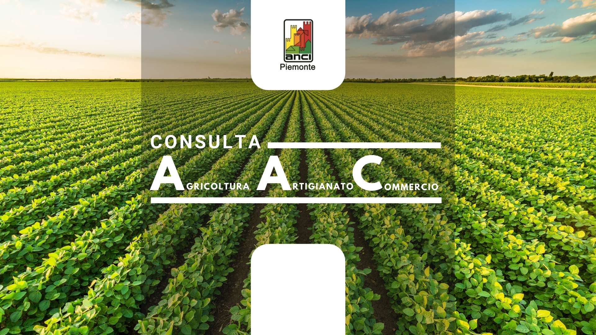 Consulta Agricoltura, Artigianato e Commercio