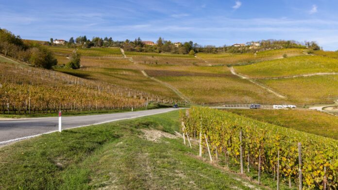 Silenzio campagna